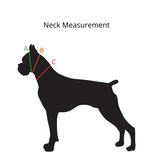 Custom Bling Dog Collar - BioBling Style 2