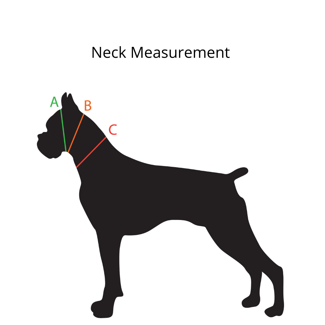 Custom Bling Dog Collar - BioBling Style 1
