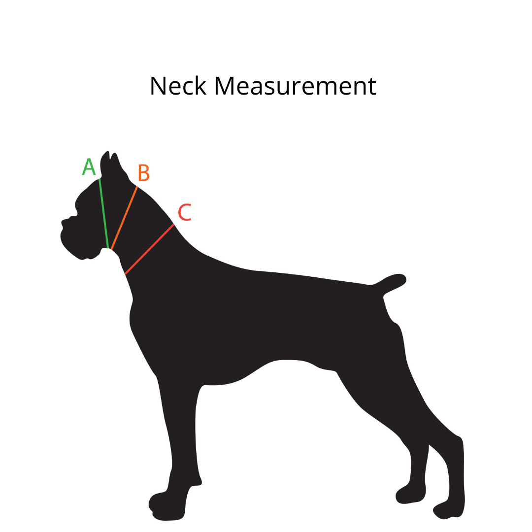 BUCKLE COLLAR - 2024 NADD Regionals BioThane Buckle Collar