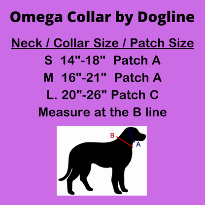 Omega Nylon Collar With Patch Hook