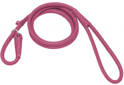 Dogline Round Leather Slip Lead