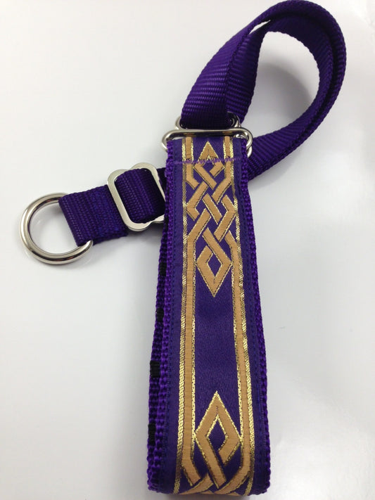 Secret Powers Training Collar - Elegance Purple