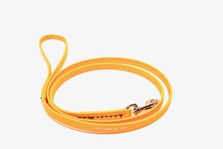 BioThane 6' Snap Lead