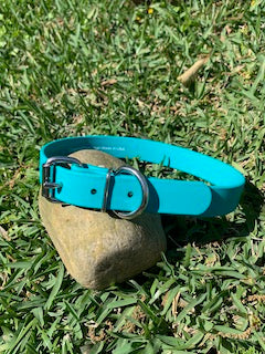 1” Classic Biothane® Buckle Dog Collar - Blank or Personalized