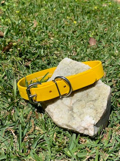 1” Classic Biothane® Buckle Dog Collar - Blank or Personalized